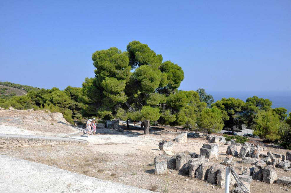 .   (Aegina). 2015 .